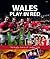 Wales Play in Red - The Rugby Diaries of Carolyn Hitt