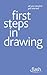 First Steps in Drawing: Flash (Flash (Hodder Education))
