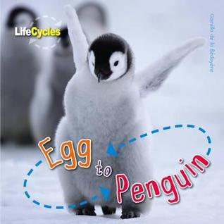 Egg to Penguin (Paperback)