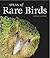 Atlas of Rare Birds by Dominic Couzens