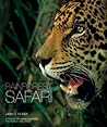 Rainforest Safari by James Parry