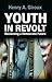 Youth in Revolt: Reclaiming a Democratic Future (Critical Interventions)
