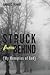 Struck from Behind: My Memo...