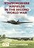 Staffordshire Airfields in the Second World War by Martyn Chorlton