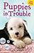 Puppies in Trouble: Puppies in the Pantry & Puppy in a Puddle (Animal Ark)