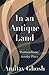 In an Antique Land by Amitav Ghosh