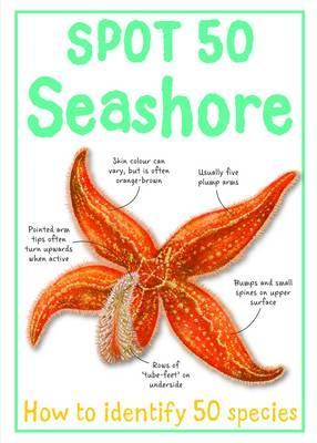 Spot 50 Seashore (Paperback)