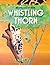 Whistling Thorn
