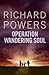 Operation Wandering Soul
