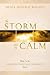 Storm Before the Calm