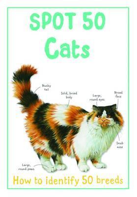 Spot 50 Cats (Paperback)