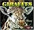 Giraffes (Wild Ones)