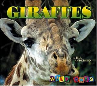 Giraffes (Wild Ones)