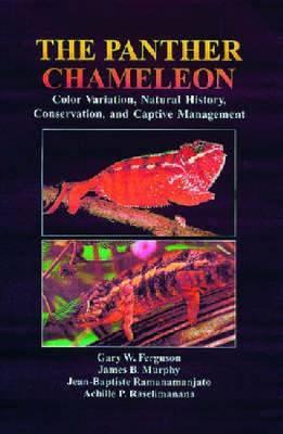 The Panther Chameleon: Color Variation, Natural History, Conservation, and Captive Management