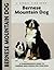 Bernese Mountain Dog (Comprehensive Owner's Guide)