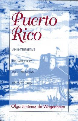 Puerto Rico: An Interpretive History from Pre-Columbian Times to 1900 (Paperback)