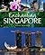 Enchanting Singapore
