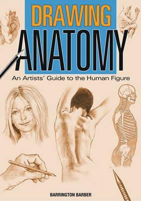 Drawing Anatomy: An Artists' Guide to the Human Figure (Paperback)