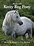 Story of the Kerry Bog Pony