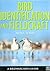Bird Identification and Fie...