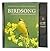 Birdsong