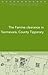 The Famine Clearance in Toomevara, County Tipperary (Maynooth Studies in Local History)