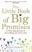 The Little Book of Big Promises: A Three-Step Process for Uncovering Your Soul's Plan. Peggy Rometo