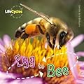 Egg to Bee