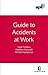 Apil Guide to Accidents at ...