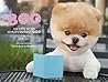 Boo: The Life of the World's Cutest Dog