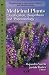 Medicinal Plants: Classific...