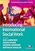 Introducing International Social Work (Transforming Social Work Practice Series)