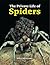 The Private Life of Spiders