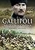 Gallipoli by Edward J. Erickson