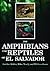 The Amphibians and Reptiles of El Salvador