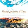 Healing Landscapes of Texas : A Journey from the Big Thicket to Big Bend (Joe and Betty Moore Texas Art Series, 11)
