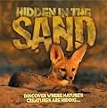 Hidden in the Sand