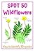 Spot 50 Wildflowers