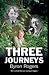 Three Journeys