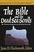 The Bible and the Dead Sea Scrolls: Vol 2, the Dead Sea Scrolls and the Quamran Community