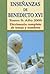 Enseñanzas de Benedicto XVI. Tomo 5: Año 2009: Diccionario completo de temas y nombres (Spanish Edition)