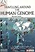 Traveling Around the Human Genome by Bertrand Jordan