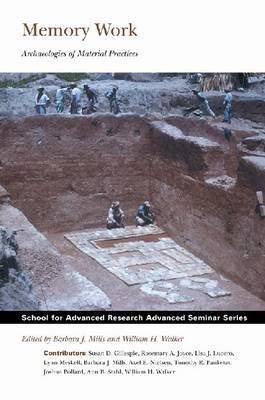 Memory Work: Archaeologies of Material Practices (School for Advanced Research Advanced Seminar Series)