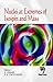 Nuclei at Extremes of Isospin and Mass by A. Ansari