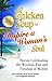 Chicken Soup to Inspire a Woman's Soul: Stories Celebrating the Wisdom, Fun and Freedom of Midlife (Chicken Soup for the Soul)