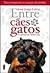 Entre cães e gatos