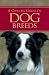 A Concise Guide to Dog Breeds