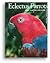 Eclectus Parrots by Graham Taylor
