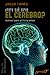 ¿Para que sirve el cerebro? Manual para principiantes