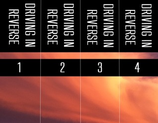 Driving in Reverse: Complete Series (Kindle Edition)